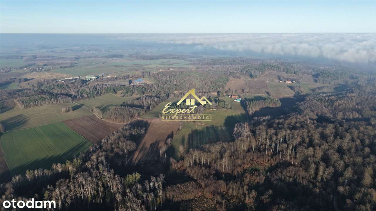 Grunty rolne z zabudową – gmina Ostróda - Pełny obrazek: 2/12