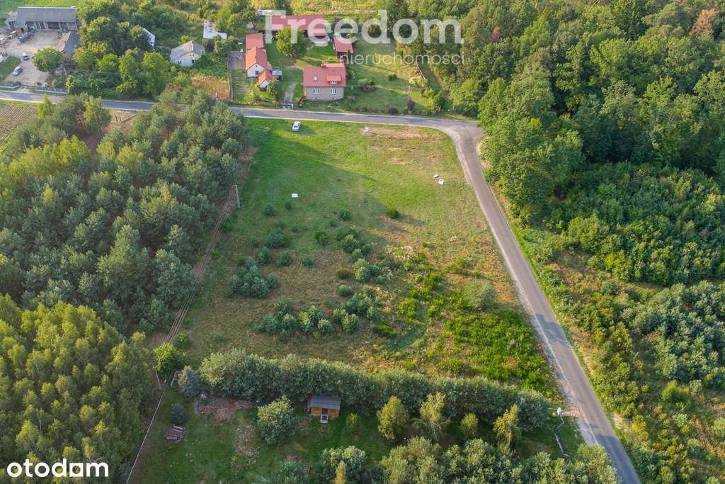 Grzegorzewice-Żabia Wola-piękna działka budowlana - Pełny obrazek: 4/20