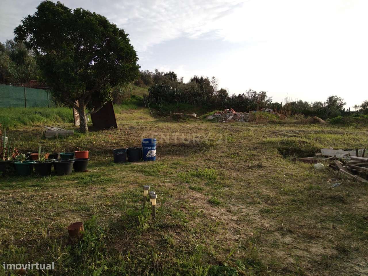 Moradia em Reconstrução – Carregueira, Chamusca - Grande imagem: 5/10