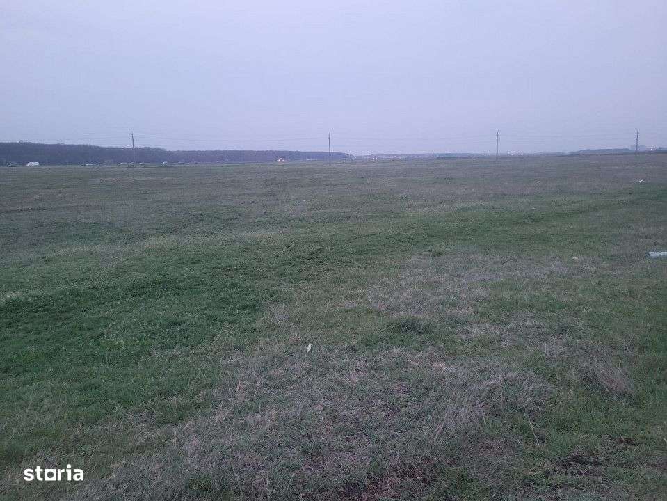 Vand doua terenuri, 5000 si 7500 m², in Pipera, aproape de cartierul - Imagine principală: 1/6