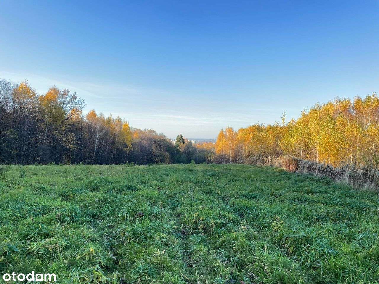 Działka o pow.1 ha - ul. Św.Marcina - Okazja! - Pełny obrazek: 2/13