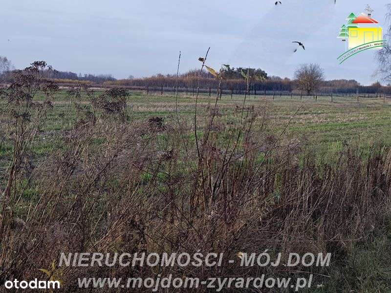 Działki budowlane w Korytowie, polecamy :) - Pełny obrazek: 5/7