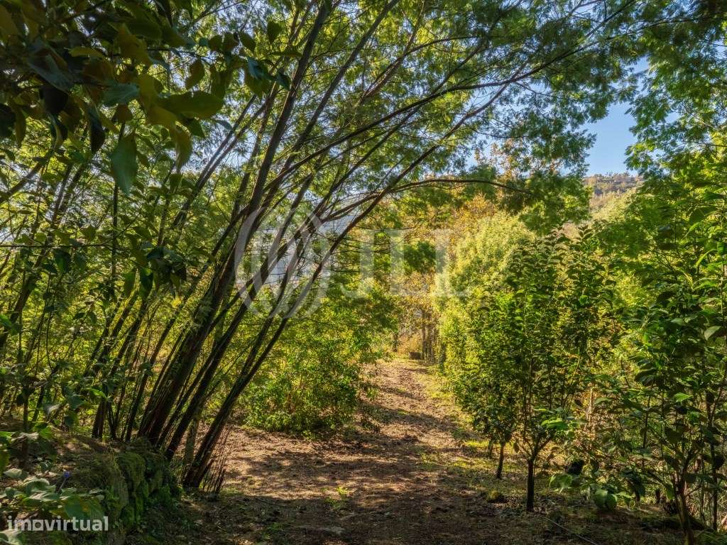 Quinta T4+6 com vista para o Rio Douro, em Baião, Porto-59