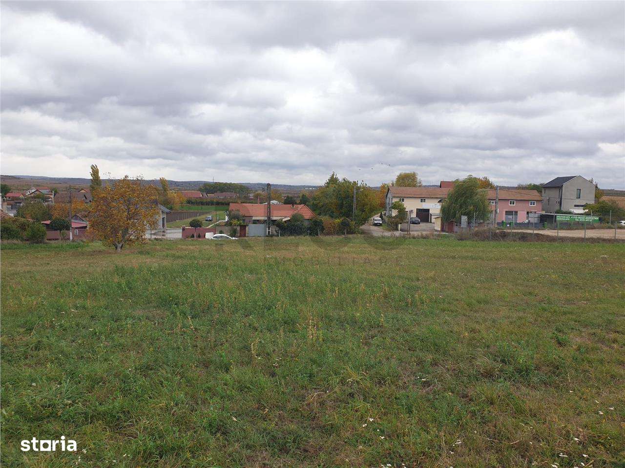 RECO Teren intravilan 900 mp Biharia - Imagine principală: 4/6