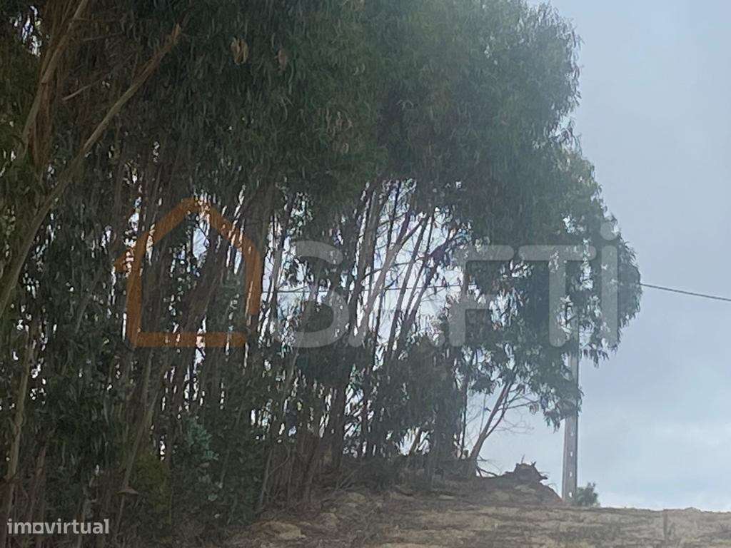 Terreno Industrial | Paúl, Torres Vedras | 4.120 m² - Grande imagem: 5/32