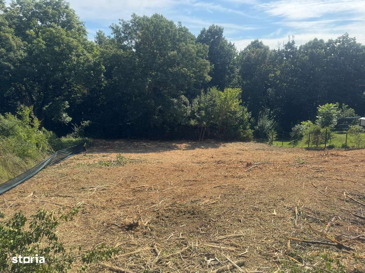 1000 mp Bucium spre Barnova , in padure , intre vile noi-1