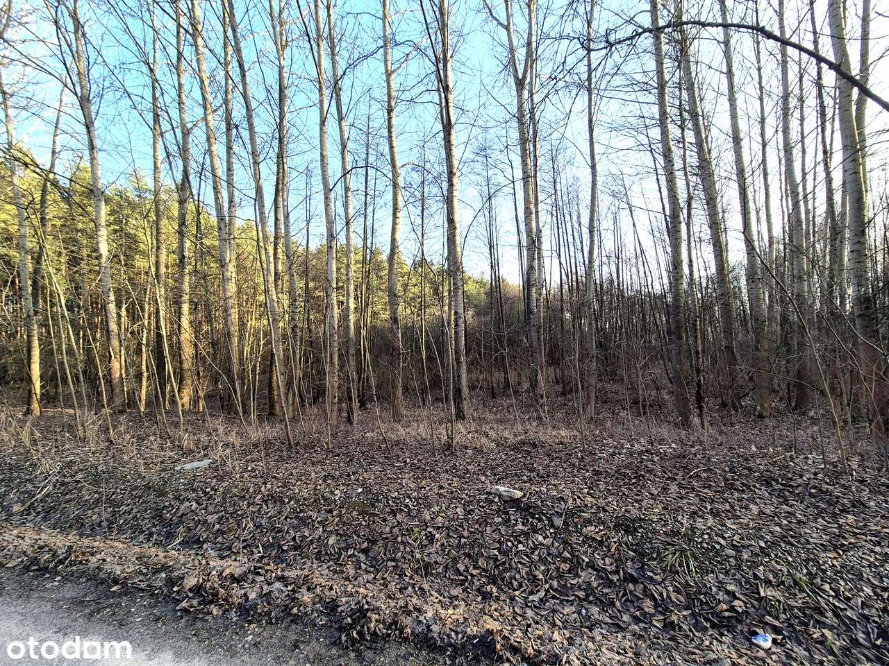 Sprzedam działkę pod HALĘ, MAGAZYN (warunki zabudowy)-1