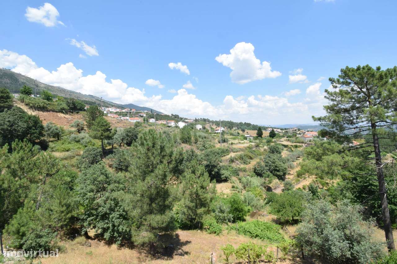 Terreno com 4.522 m² e Viabilidade de Construção - Vila do Carvalho-38