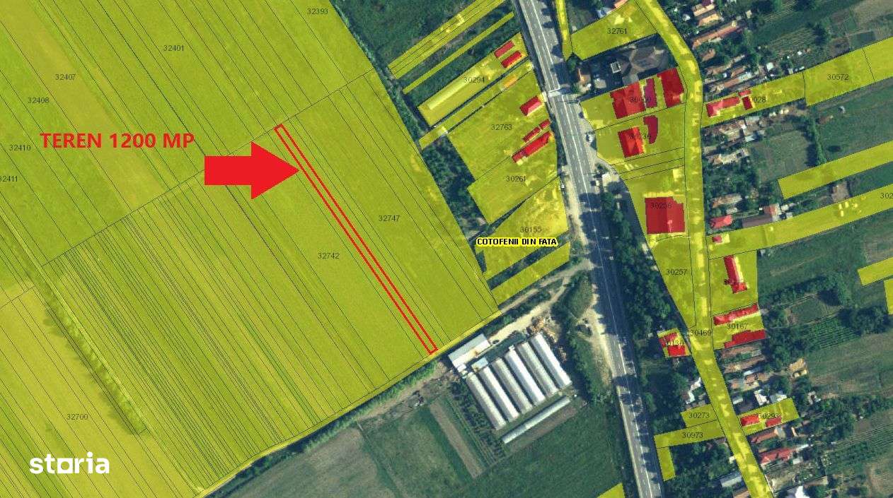 Teren extravilan Cotofanii din Fata 2500 mp, Dolj- 3001406 - Imagine principală: 3/5