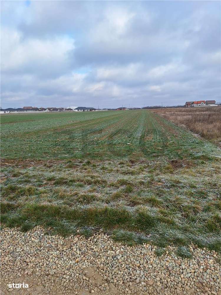 Reco, teren intravilan Nojorid - Imagine principală: 4/8