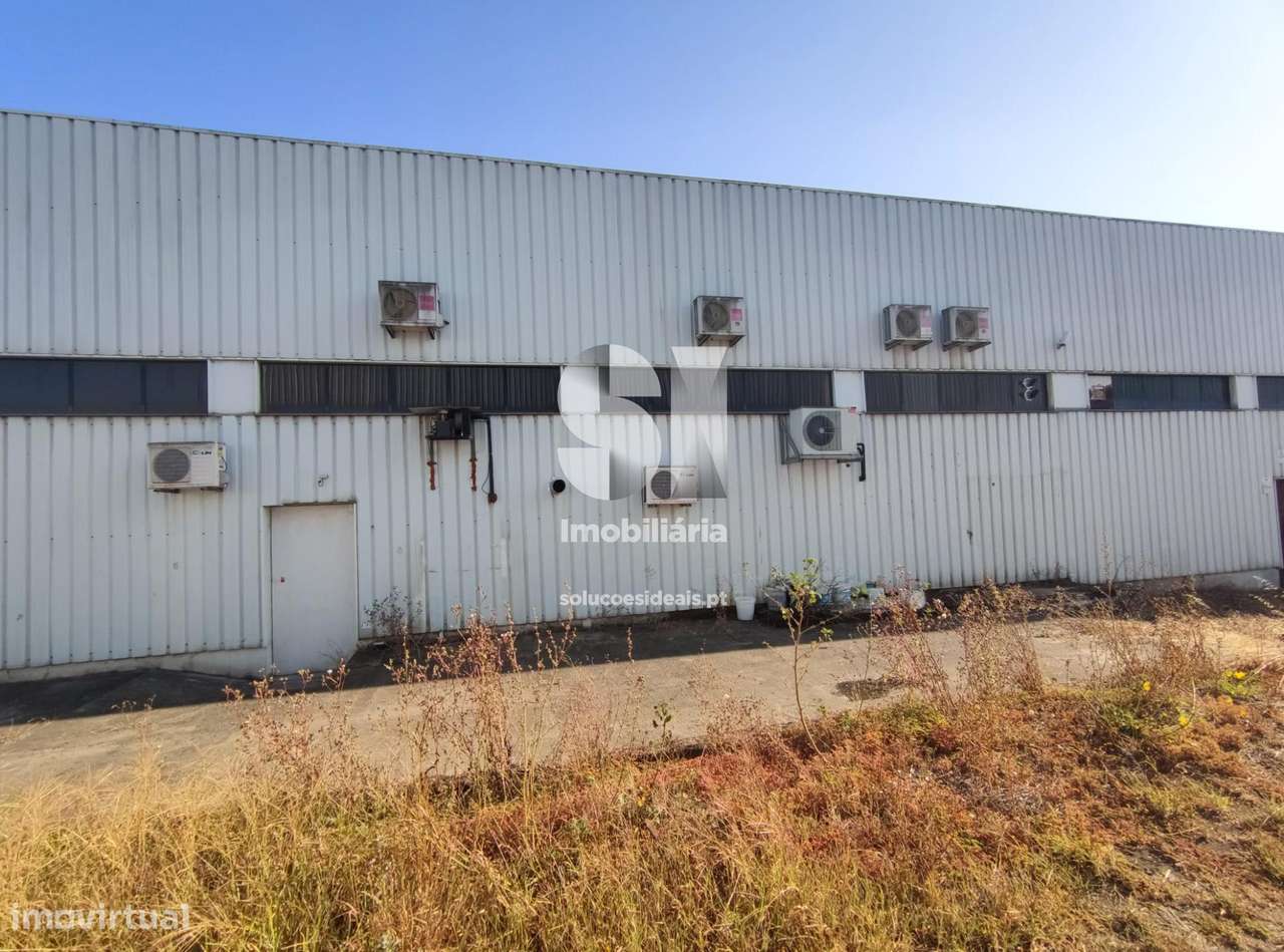 Armazém Santo Tirso - Grande imagem: 3/38