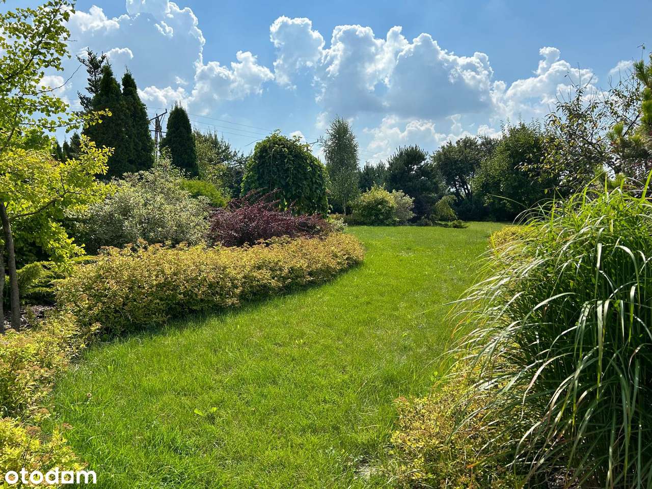 Na sprzedaż piękna, zadbana działka budowlana położona w Olkuszu. - Pełny obrazek: 5/6