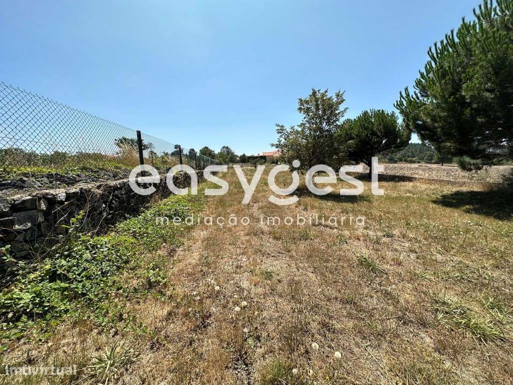 Magnifico lote de 1650 m2 com projeto aprovado em Trancoso. - Grande imagem: 4/18