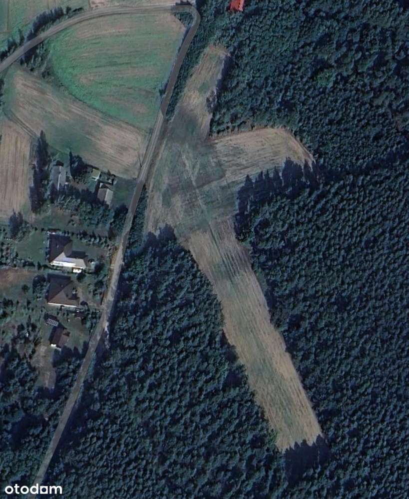 Działka budowlana z warunkami zabudowy w przy lesie - Pełny obrazek: 3/5