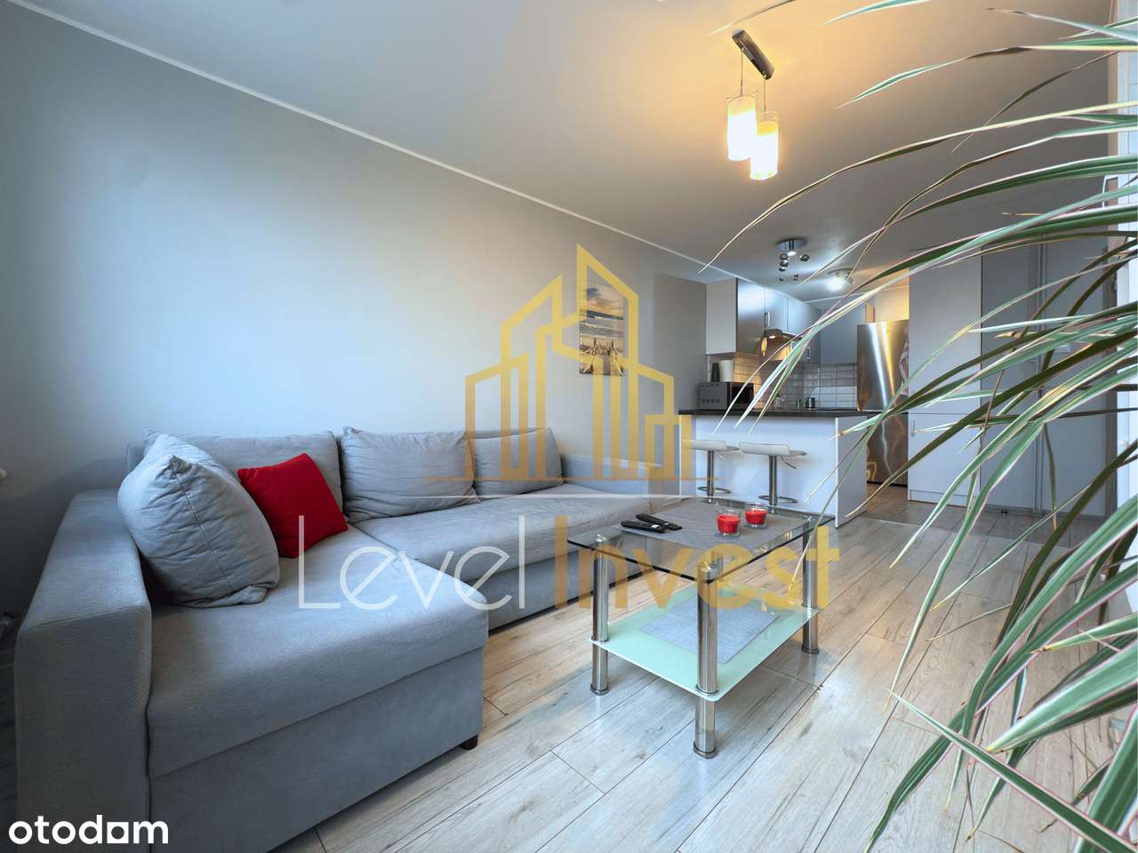 2-pokojowe mieszkanie do wynajęcia – SKM | Park Regana - Pełny obrazek: 4/12