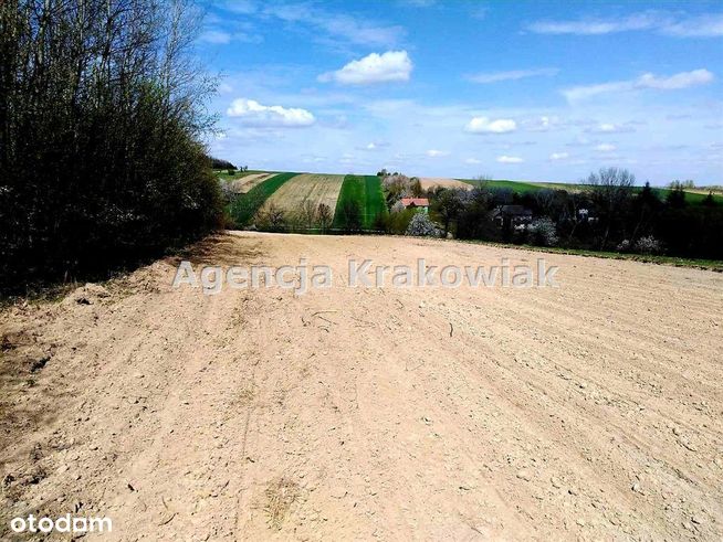 Pilnie sprzedam działkę rolno- zagrodową