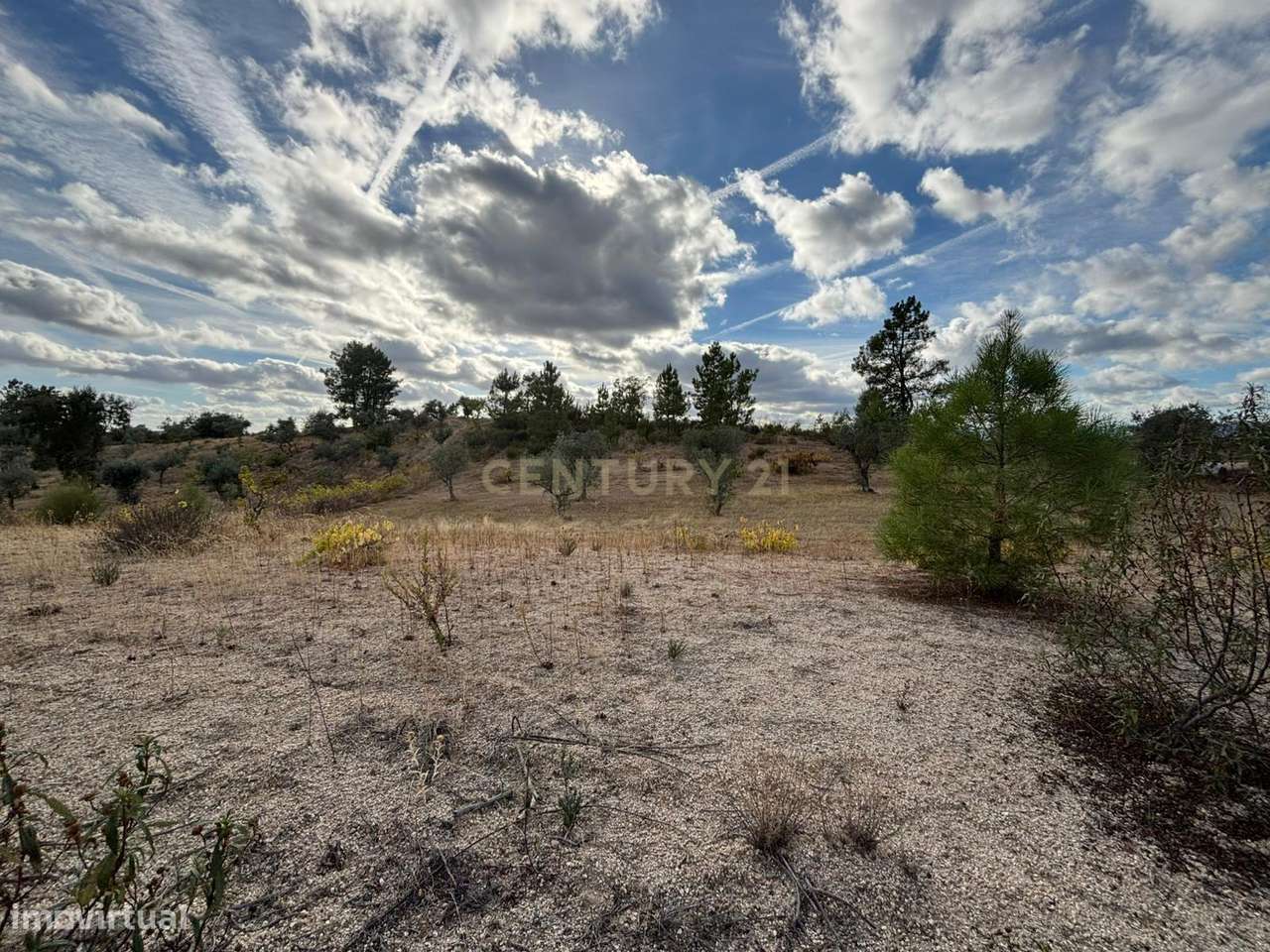 Terreno Rústico em Freixial e Juncal do Campo, Castelo Branco - Grande imagem: 2/12