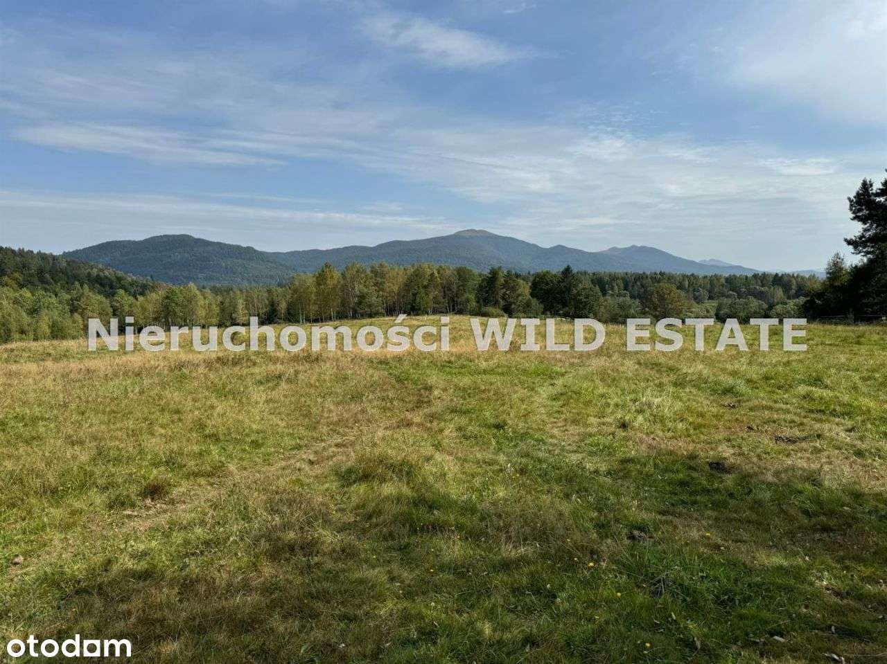 Działka, 25 232 m², Cisna - Pełny obrazek: 4/17