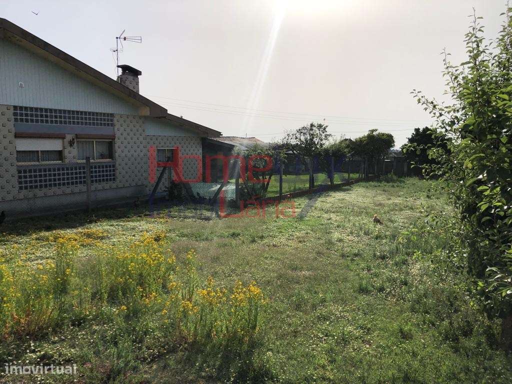 Moradia térrea T3 mais terreno para construção. - Grande imagem: 4/28