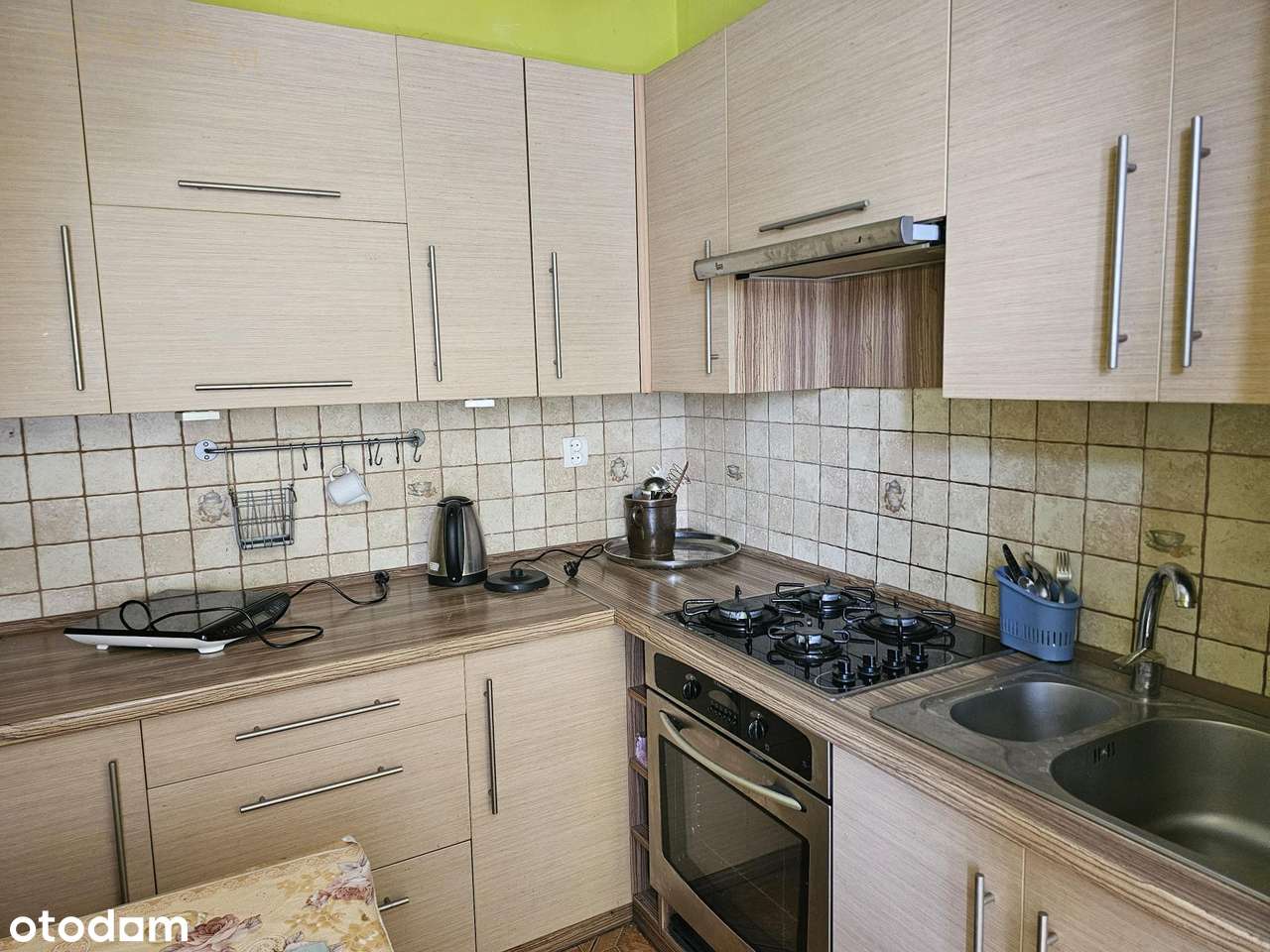 Duża działka w malowniczym położeniu z 2 budynkami-13