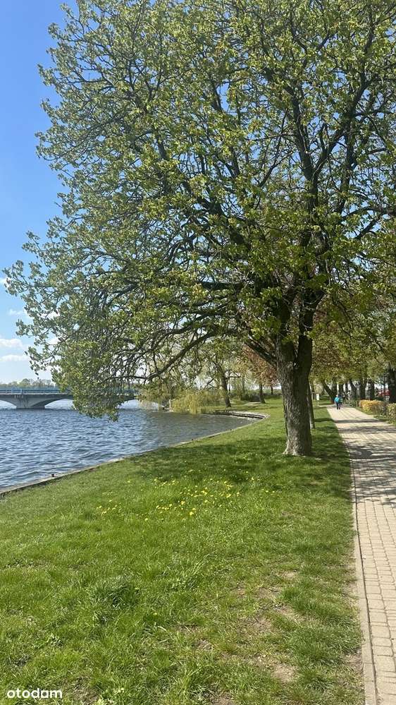 3-pokojowe przy promenadzie, z widokiem na jezioro-19