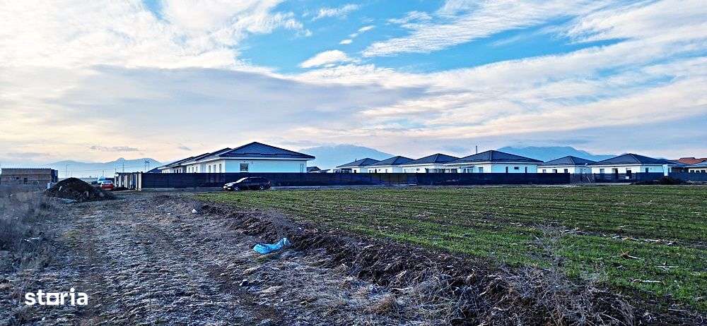 Teren pentru casa generos 1284mp, parcelabil, Brasov spre Harman, 80 e - Imagine principală: 4/10