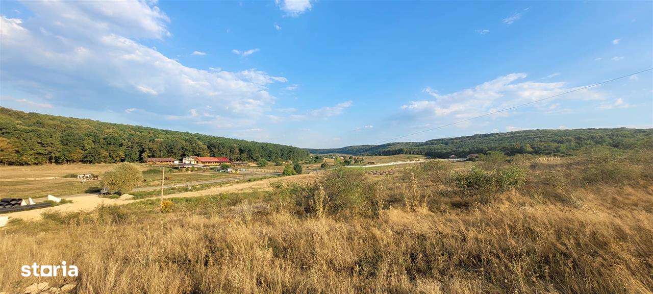 Teren intravilan la Inelul Metropolitan, Haieu,Sanmartin,Bihor - Imagine principală: 3/6