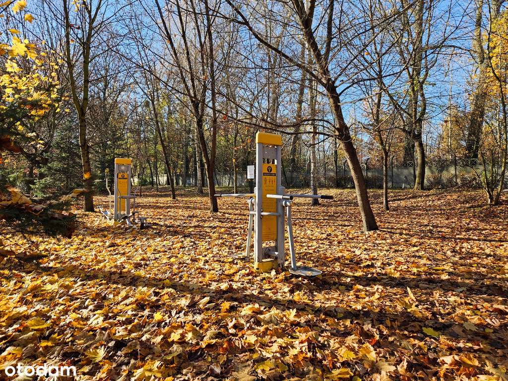 2 poziomy, po remoncie, umeblowane, Żabie doły-12