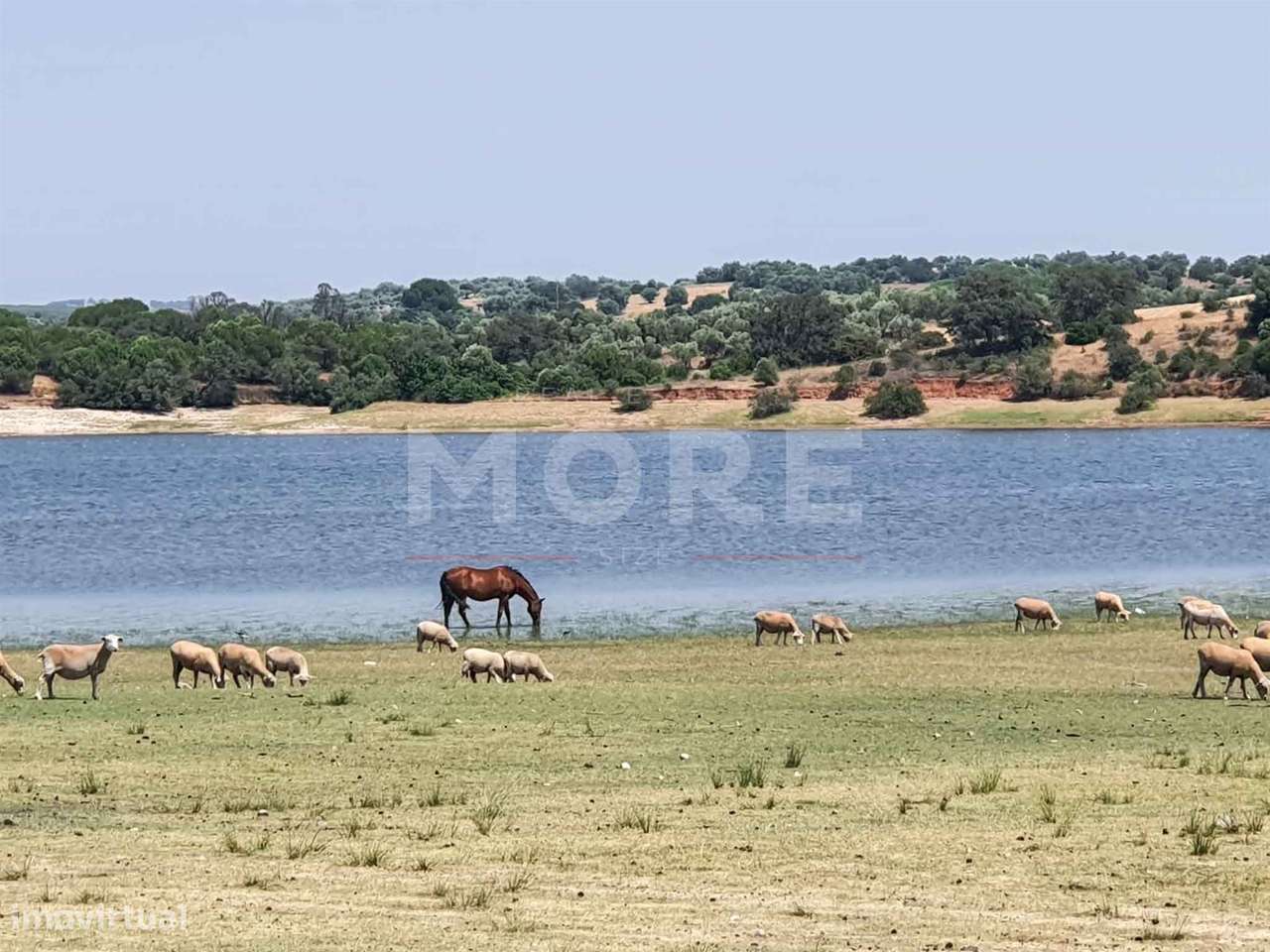 Herdade - 31,5 hectares - Torrão - Grande imagem: 3/45