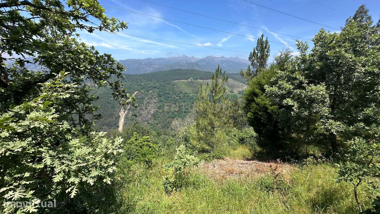 O Refúgio Perfeito no Topo do Gerês: Onde o Silêncio Encontra a Imens-17