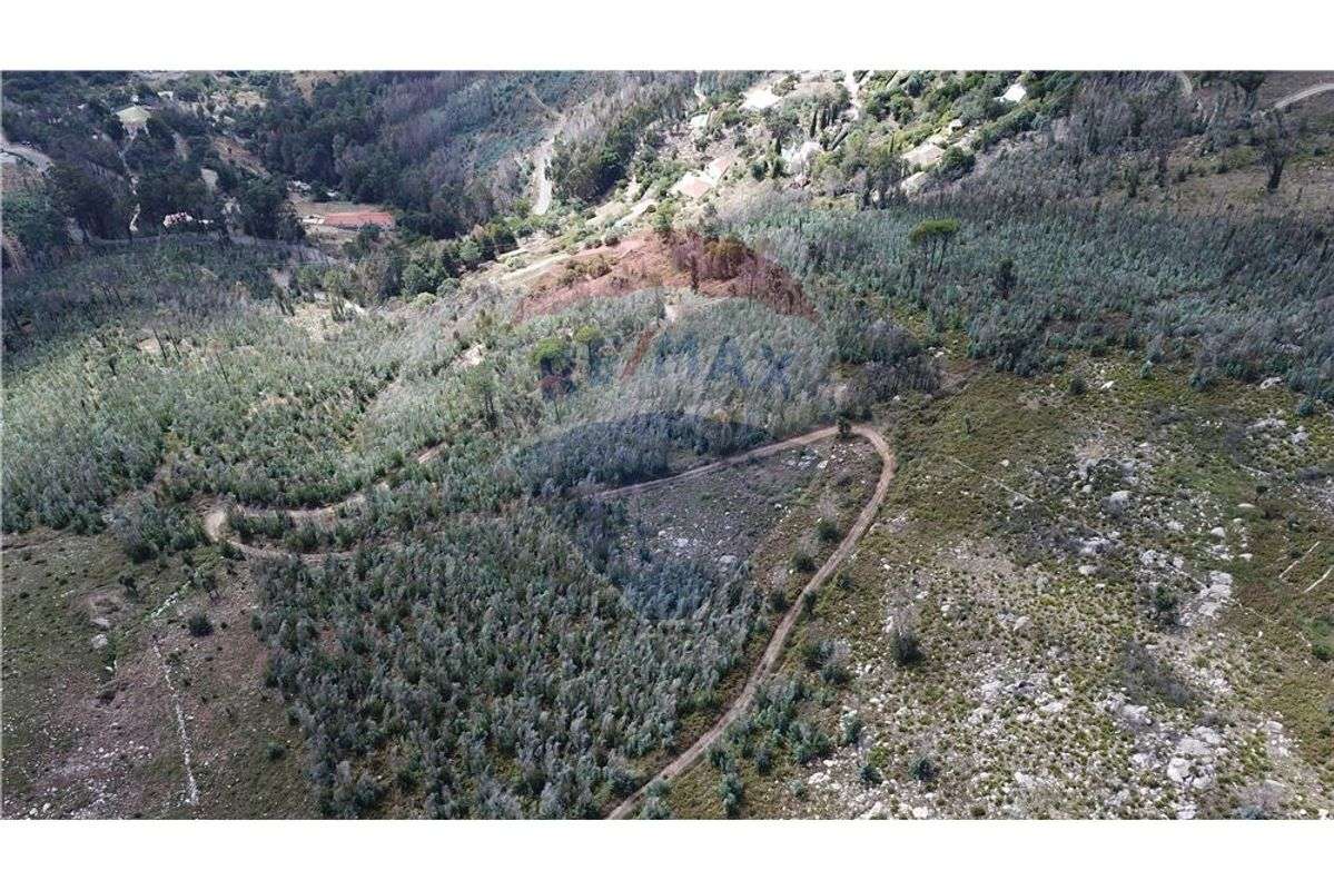 Fantastica Localização - Grande imagem: 5/16