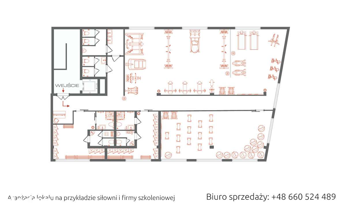 Studio fitness, usługi medyczne - bardzo blisko Wrocławia-7