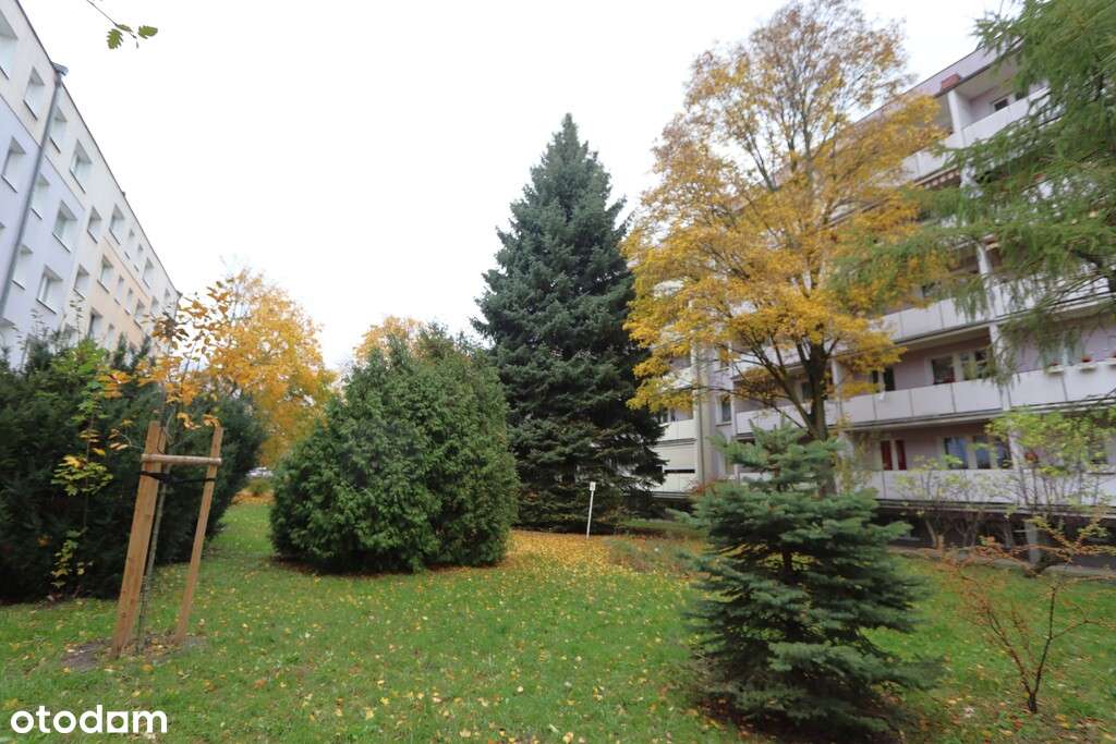 3 pok. z kuchnią, po remoncie, 4 min. tramwaj-12