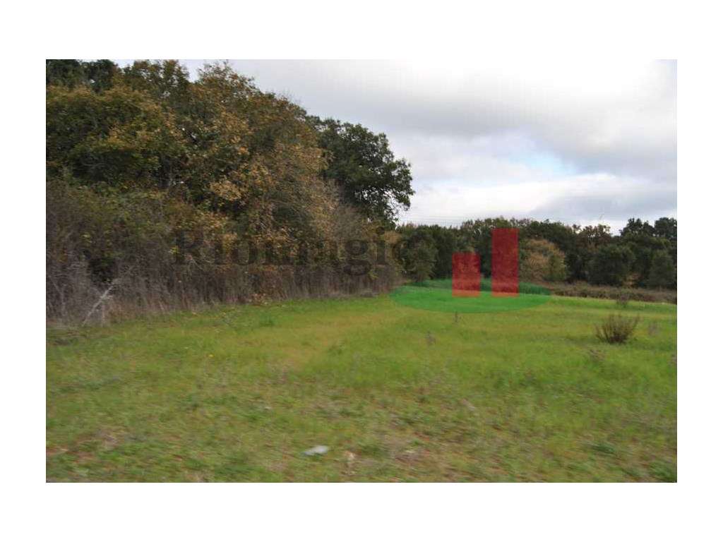 Terreno - Mata de Baixo***RIOMAGIC*** - Grande imagem: 4/25