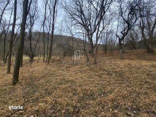 Teren de vanzare intravilan, 10 000 Mp , Sighisoara - Imagine principală: 5/10