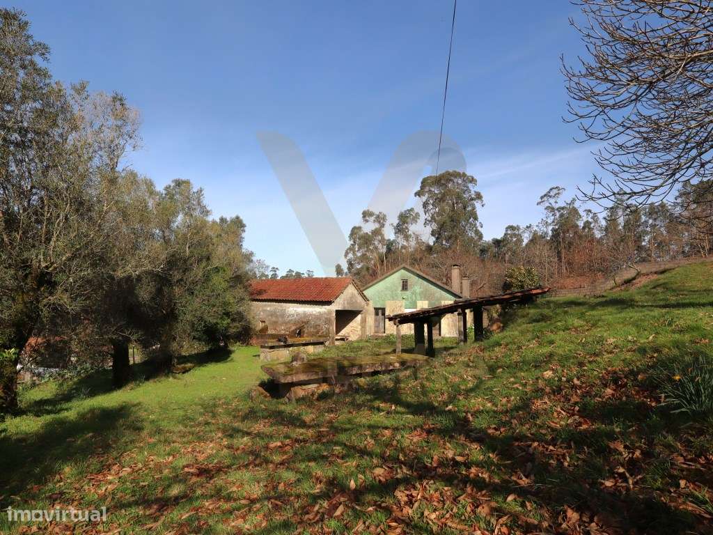 Casa Antiga Geminada T2 para Restauro - Fojo Lobal - Ponte de Lima - Grande imagem: 4/29