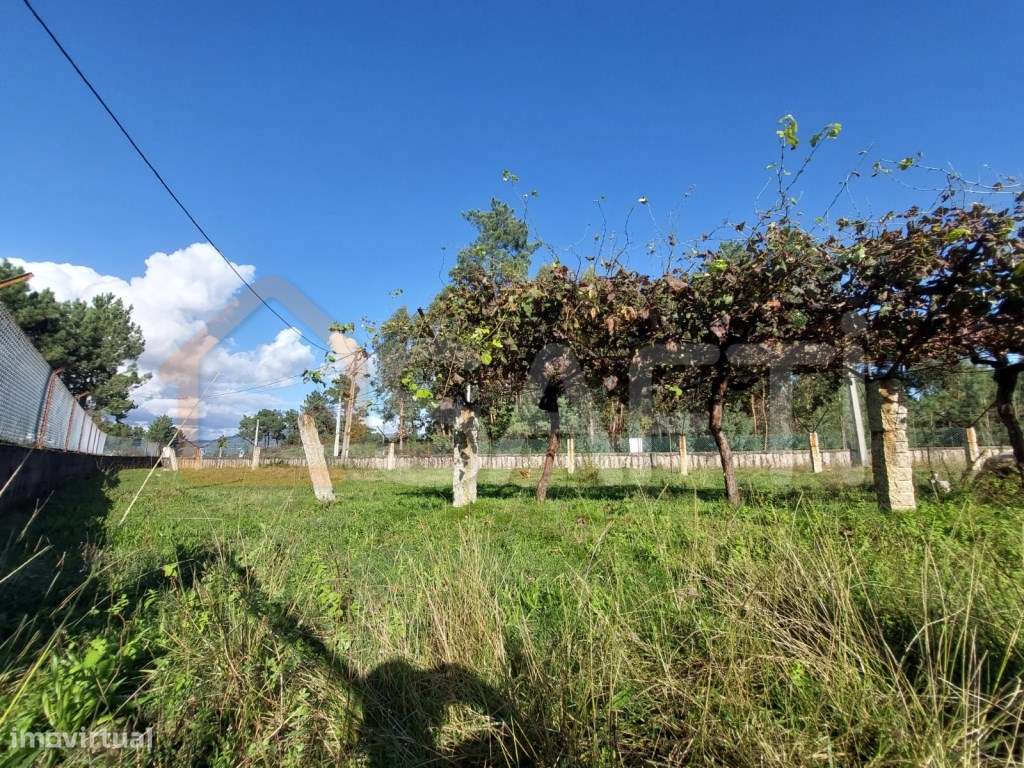 Terreno Construtivo - Grande imagem: 4/5