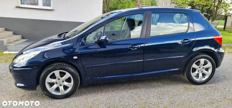 Peugeot 307 - 6