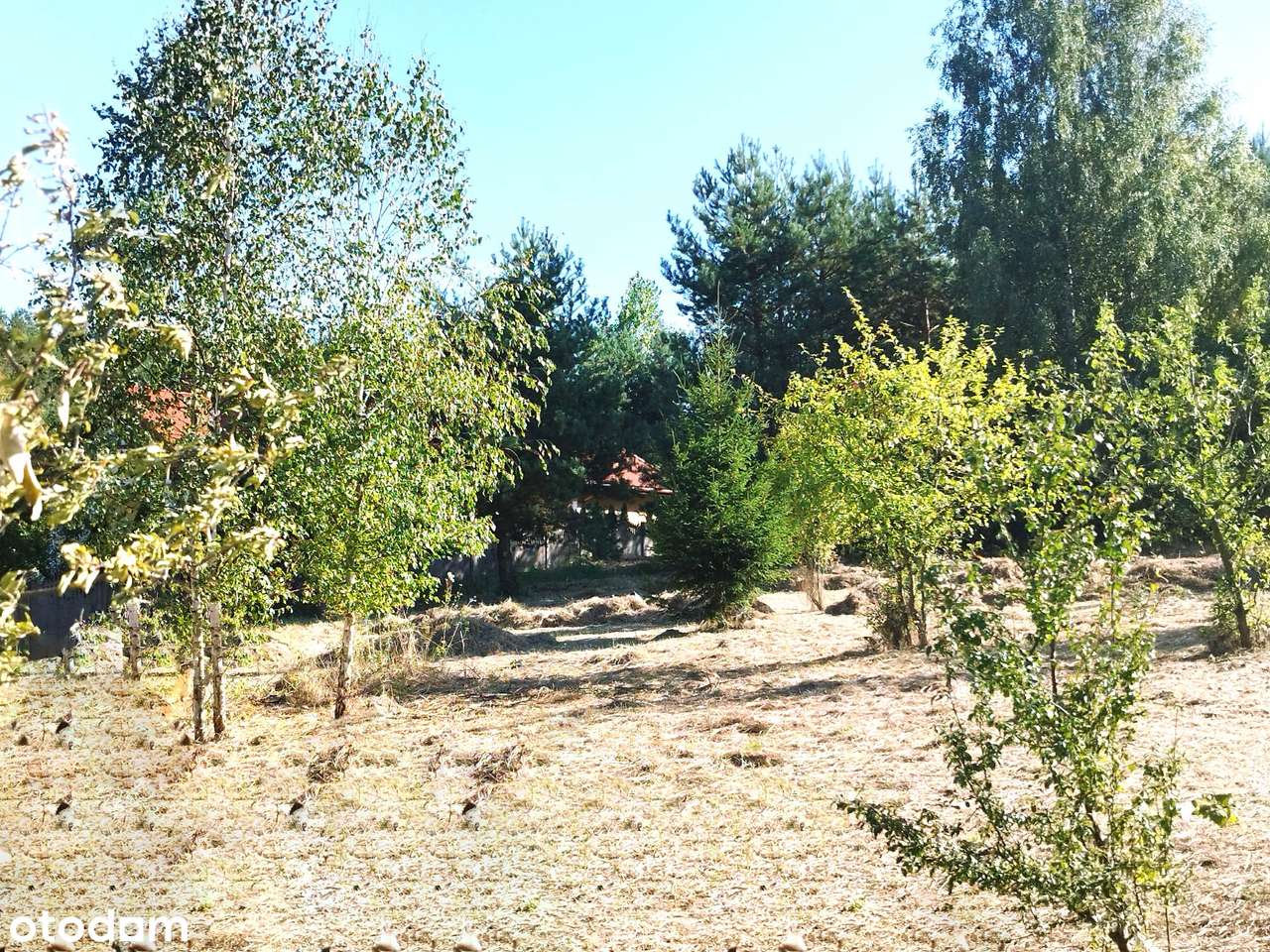 Malownicza działka z warunkami zabudowy-5