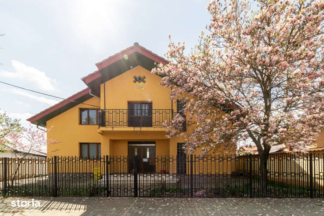 Vila - Piscina - Bradu! - Imagine principală: 2/19