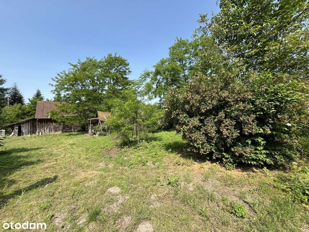 Działka 0,21 ha w Kaliszanach Kolonii gm. Józefów. - Pełny obrazek: 4/19