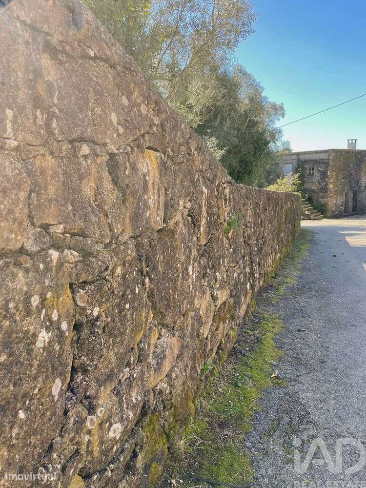 Terreno Agrícola em Montaria - Grande imagem: 2/8