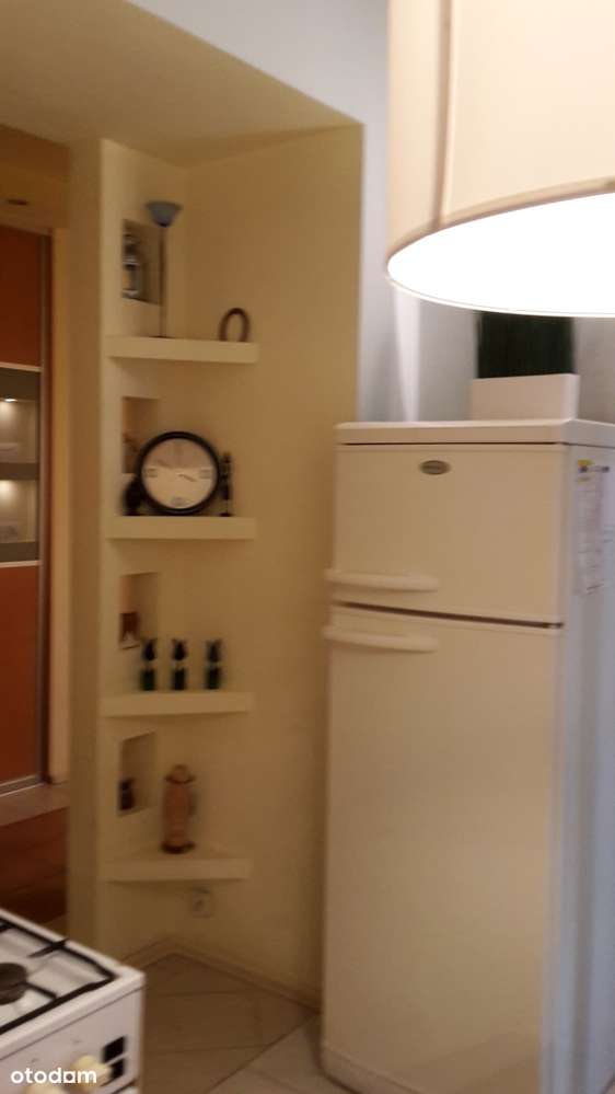 2 POKOJE ŚRÓDMIEŚCIE WIERZBOWA/ NARUTOWICZA - Pełny obrazek: 3/8