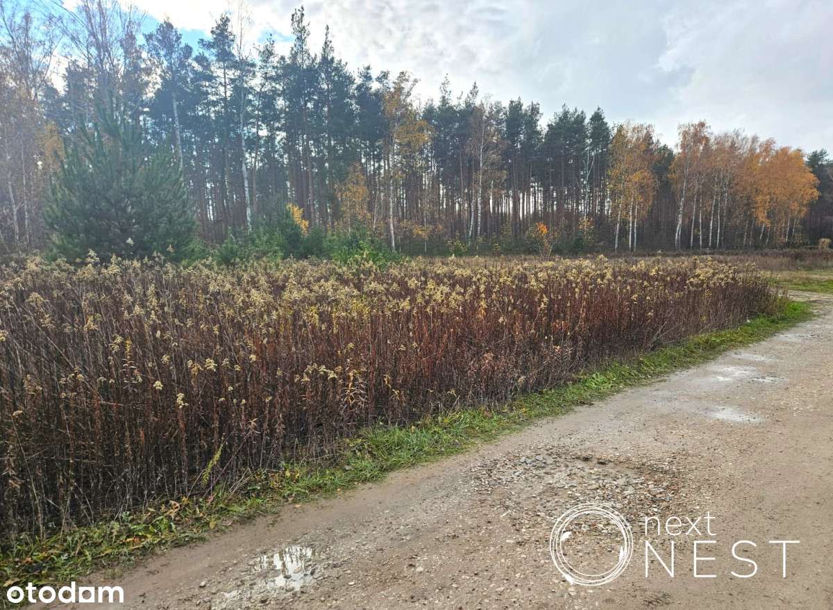 Teren pod lasem, osiedle domów, media - Pełny obrazek: 4/4