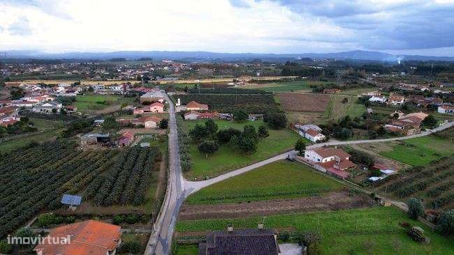 Terreno para construção de moradias em Anadia - Grande imagem: 5/12