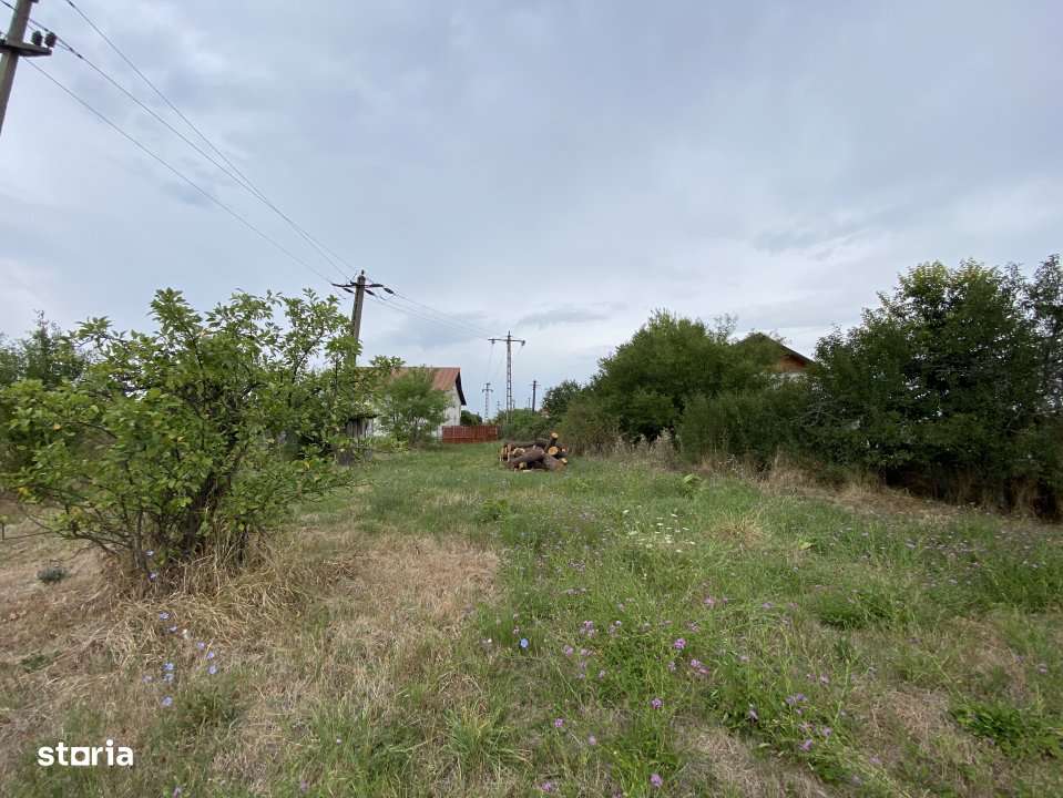 Teren intravilan 1.765 mp in Poiana Lacului, AG - Imagine principală: 3/5