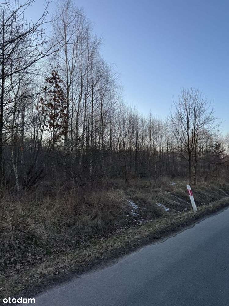 Atrakcyjna działka w Rudzińcu-2