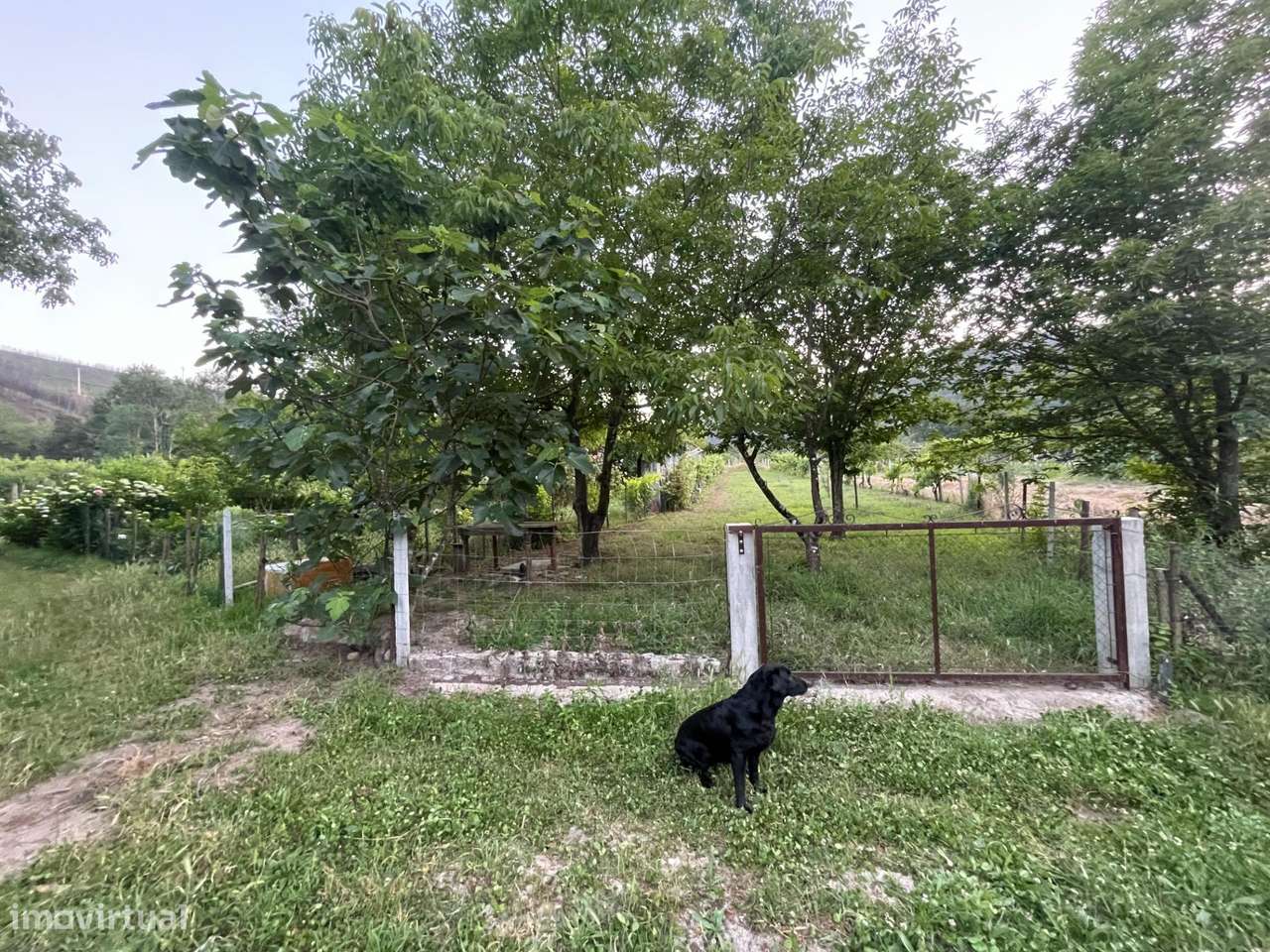 Refúgio de Verão junto ao Rio Alva-19
