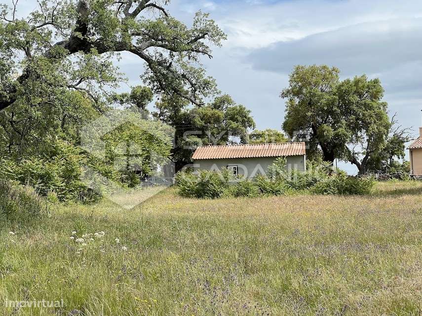 Terreno com casa agrícola para VENDA em São Miguel de Acha-18
