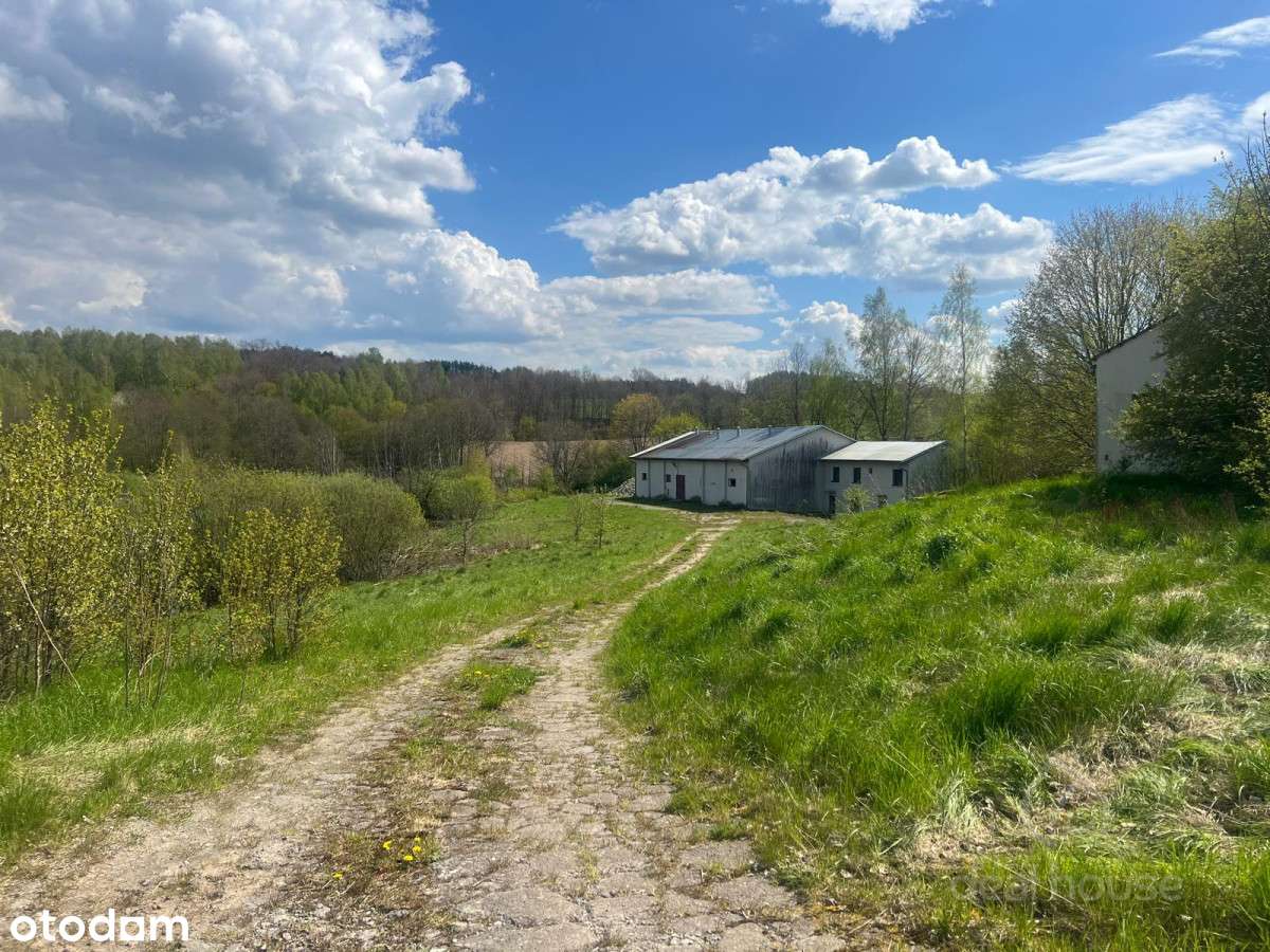 Piękne tereny, duży potencjał, Siedlisko:)-1